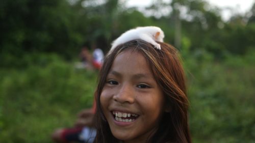 Image took from the movie "Amazonia, the Heart of Mother Earth"